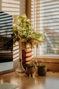 Tips for Creating a Cozy and Functional Home Office Space